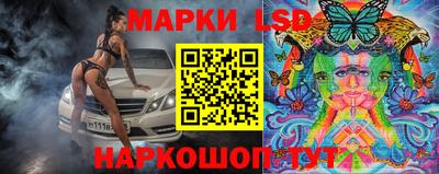 спайс Тара