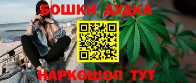 спайс Тара