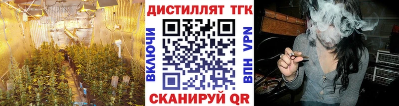 ТГК концентрат  Сертолово 