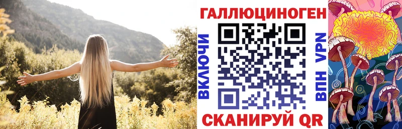 гидра ссылка Сертолово Галлюциногенные грибы Psilocybe