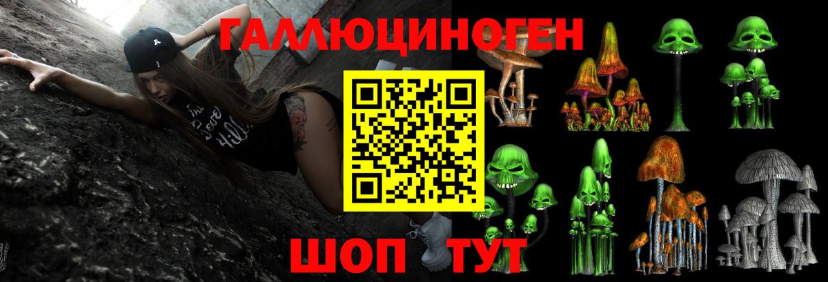 Псилоцибиновые грибы прущие грибы  Вход с VPN  Сертолово 